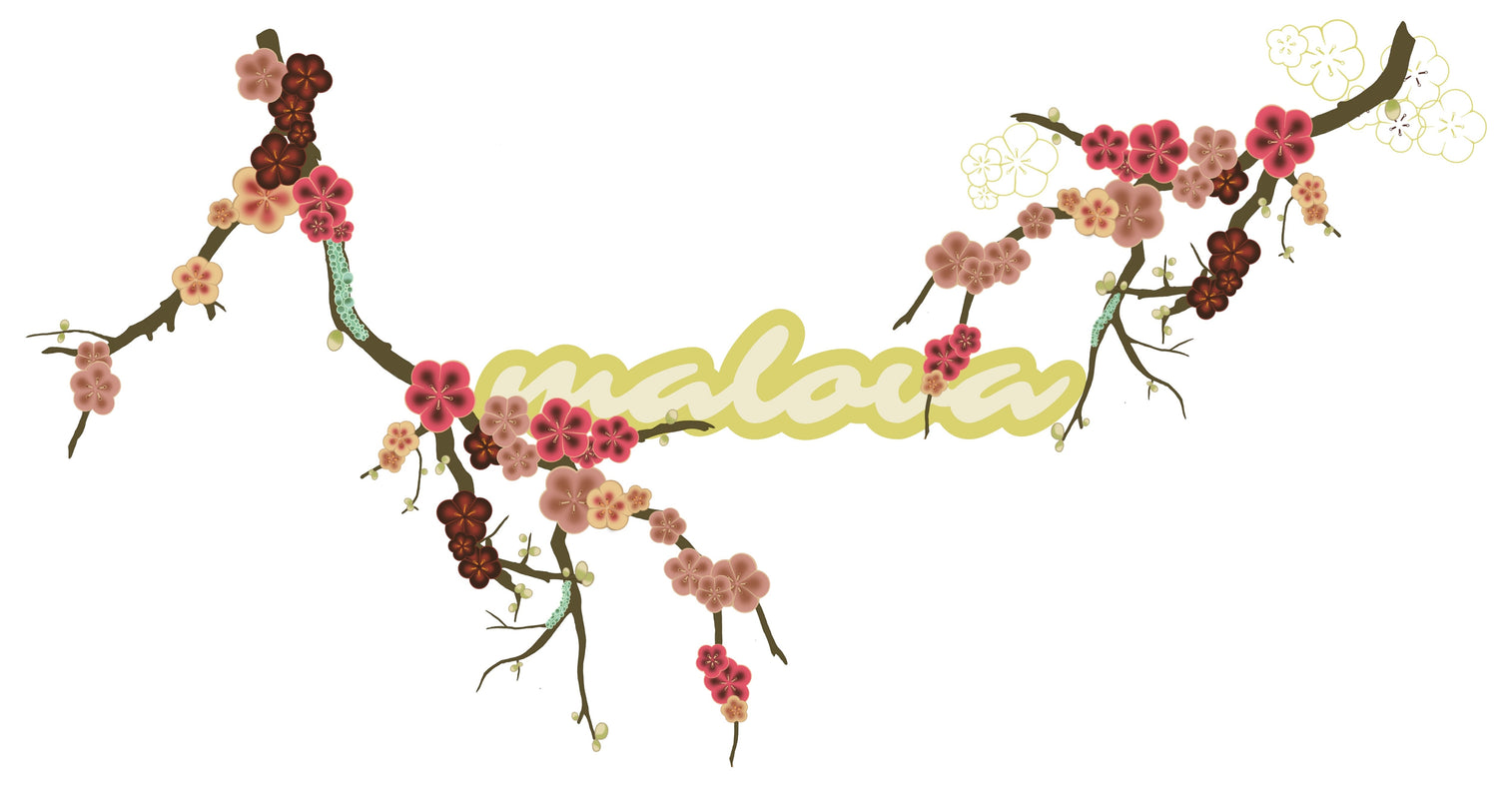 Blossom Collection